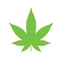 cannabis