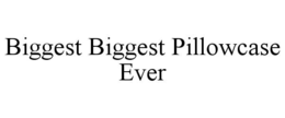 biggest biggest pillowcase ever