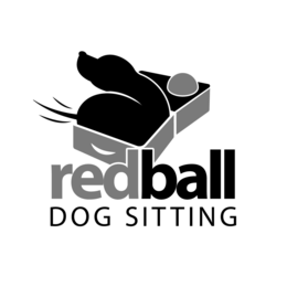 redball dog sitting