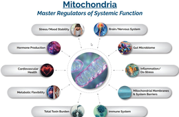 mitochondria master regulators of systemic function stress/mood stability brain/nervous system hormone production gut microbiome cardiovascular health inflammation/ox-stress metabolic flexibility mitochondrial membranes & system barriers total toxin burde