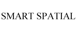 smart spatial