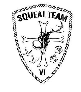 squeal team vi