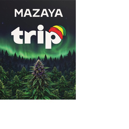 mazaya trip