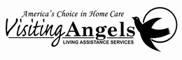 america's choice in home care; visting angels; living assistance services