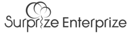 surprize enterprize