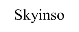 skyinso