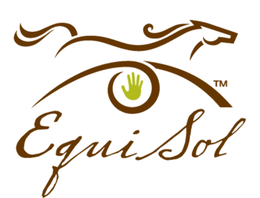 a stylized horse with a primitive hand in the middle and a curl with a circle encircling the hand with a cursive written equisol with a capital e and a capital s