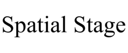 spatial stage
