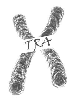 xtra