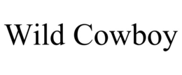 wild cowboy