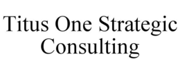 titus one strategic consulting