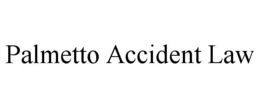 palmetto accident law