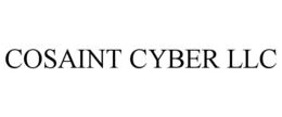 cosaint cyber llc