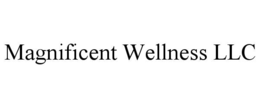magnificent wellness llc