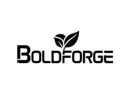 boldforge