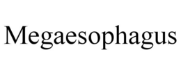 megaesophagus
