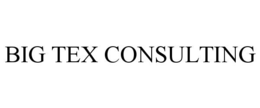 big tex consulting