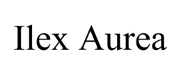 ilex aurea
