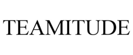 teamitude