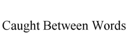 caught between words