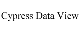 cypress data view