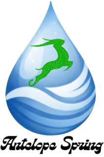 antelope spring