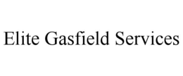 elite gasfield services