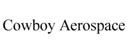 cowboy aerospace