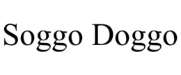 soggo doggo