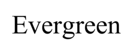 evergreen