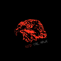 red tail hawk