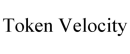 token velocity