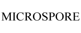 microspore