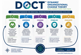 doct - dynamic organizational change theory