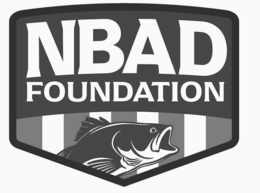 nbad foundation