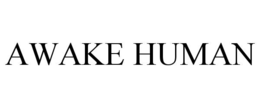 awake human