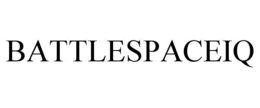 battlespaceiq