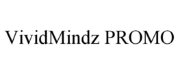 vividmindz promo