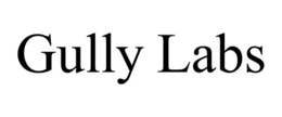 gully labs