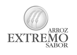 arroz extremo sabor