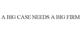 a big case needs a big firm
