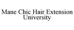 mane chic hair extension university