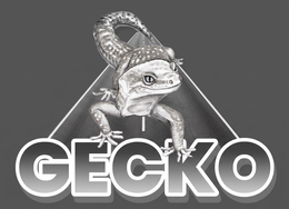 gecko