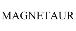 magnetaur