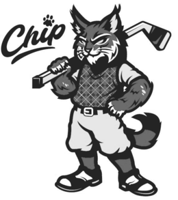 chip