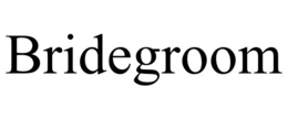 bridegroom