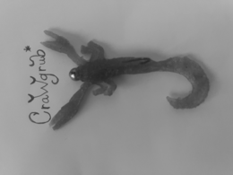 crawgrub*
