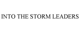 into the storm leaders