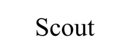 scout