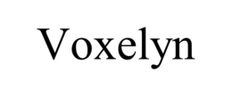 voxelyn
